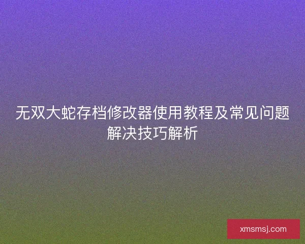 无双大蛇存档修改器使用教程及常见问题解决技巧解析