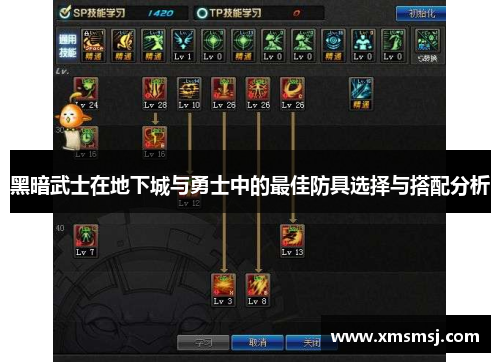 黑暗武士在地下城与勇士中的最佳防具选择与搭配分析