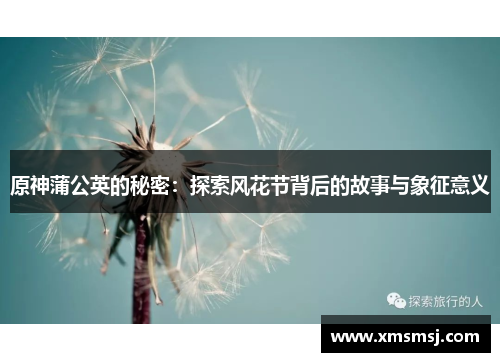 原神蒲公英的秘密：探索风花节背后的故事与象征意义